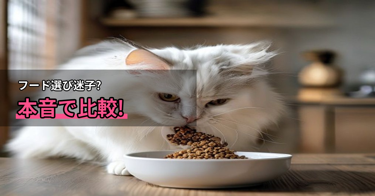 猫のプレミアムキャットフード定期購入を比較して分かった、おすすめの選び方