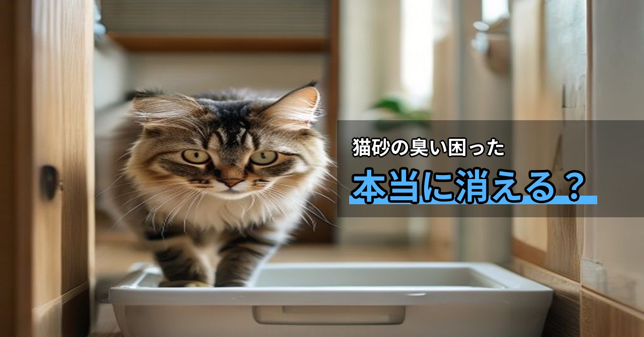 猫のシリカゲル砂おすすめ比較｜消臭力で選んだら失敗しなかった話
