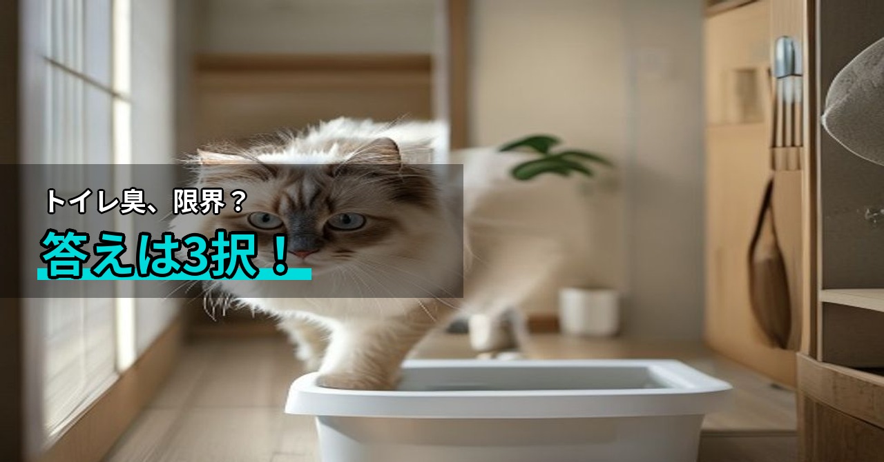 猫のトイレ消臭剤おすすめ比較｜置き型・スプレー・猫砂どれを選ぶ？条件別の選び方