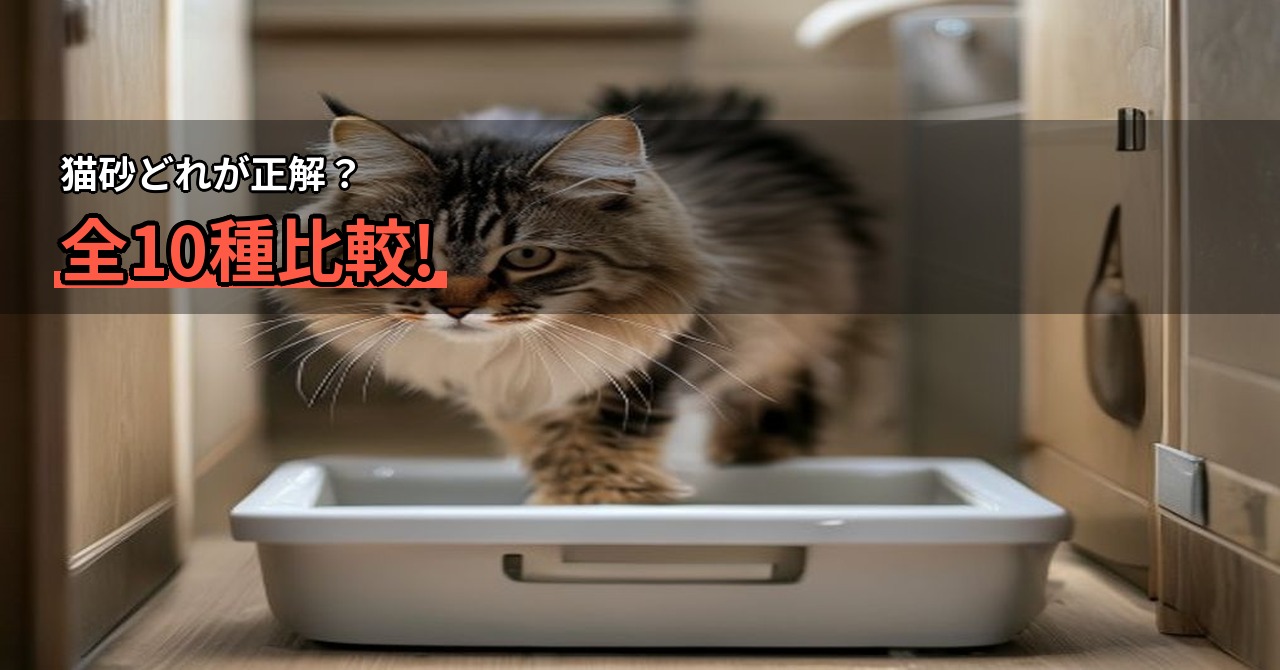 猫砂 ベントナイトのおすすめ比較｜条件別にわかる選び方早見表つき