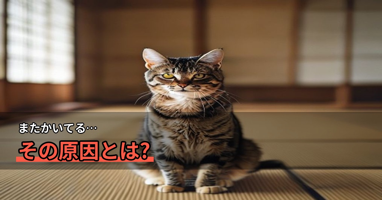 猫が体をかきむしる…皮膚炎・かゆみの原因と自宅でできる対処法