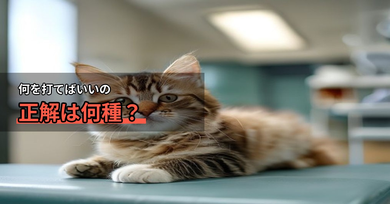 猫のワクチンは何種類?選び方と接種のタイミングを解説