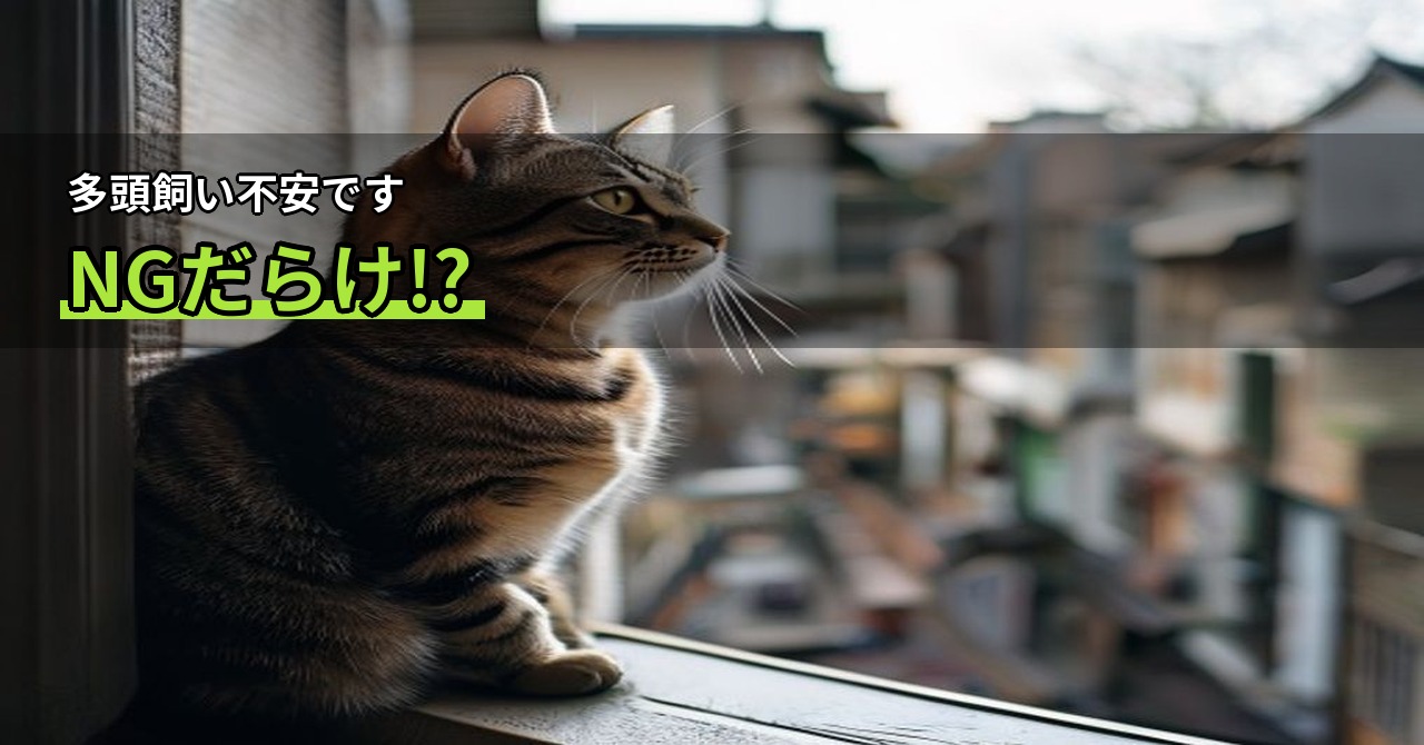 新しい猫と先住猫、慣らし方の基本ステップとやってはいけないこと