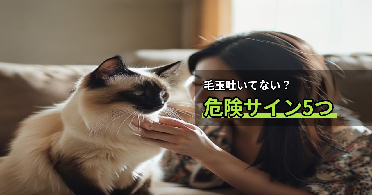 猫の毛球症、うちの子は大丈夫？症状チェックと自宅でできる予防策まとめ