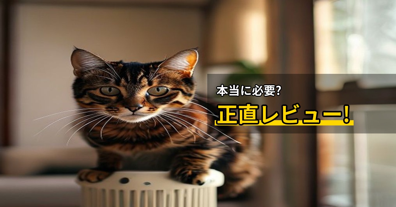 一人暮らしの猫にキャットタワーは必要？選び方とおすすめポイント