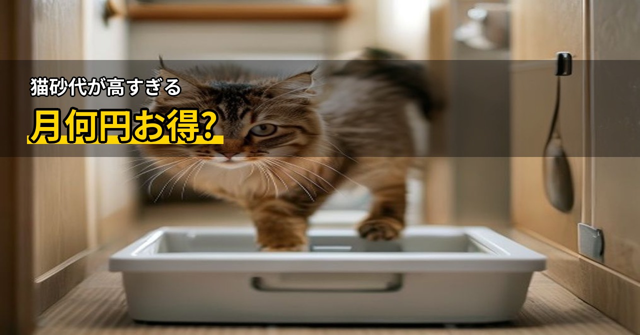 猫のトイレ砂、定期便で本当に安くなる？コスト比較と頻度設定のコツ