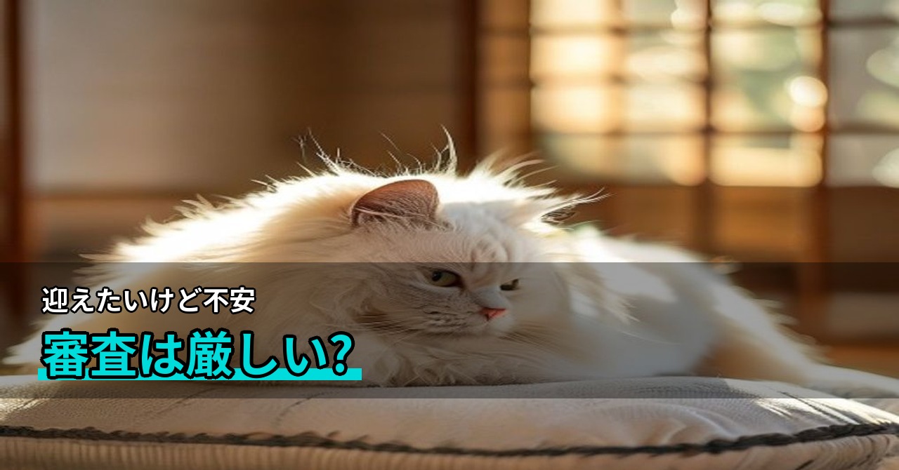 保護猫の引き取り方法と条件は？窓口・審査・費用をまとめて整理